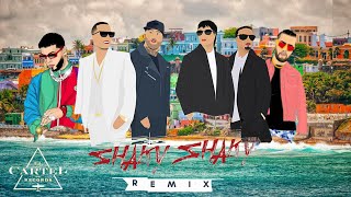 Daddy Yankee, Nicky Jam, Anuel AA, Chencho Corleone, Maldy - Shaky, Shaky Remix (Video Oficial)