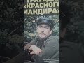 #Кумирысоветскогокино#Самойлов#СвадьбавМалиновке#Фильмыссср