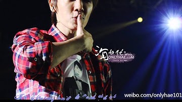 Happy Donghae