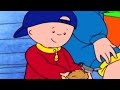 Caillou és a Kismadár | Caillou Magyarul - WildBrain