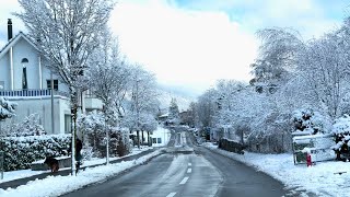 SWITZERLAND Winter Wonderland  Frozen in Snow ❄ Snowfall | #swiss #swissview