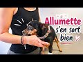 On récupère Allumette !!! DV 02