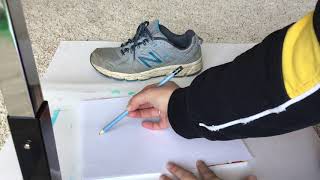 Contour Line Shoe
