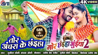 Mor Chhaiya Bhuiya 2 | Cg Movie Song | Tor Achara Ke Chhaiya | Chhattisgarhi Gana | Man Diksha | AVM screenshot 5