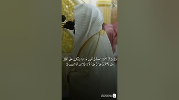 سورة السجدة كاملة من تلاوة فضيلة الشيخ #عبدالله_القرافي من صلاة الفجر الجمعة ٣٠ محرم ١٤٤٧