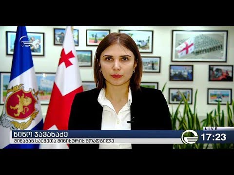 შინაგან საქმეთა მინისტრის მოადგილის ნინო ჯავახაძის ჩართვა \"ქრონიკის\" პირდაპირ ეთერში