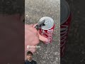 I received a cola, so I opened it up #shorts