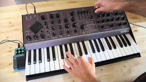 Synton Syrinx SN 1 Rare Purple Vintage Synthesizer Synth Demo#3 Ring Modulation & Filters