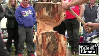 DEPORTE RURAL en la Feria de San Benito en Barcenaciones 30 - 3 - 2024