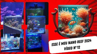 Esse é meu Nano Reef 2024 - Vídeo nº12 by Aquário Marinho -Sem Grana 3,245 views 11 days ago 18 minutes