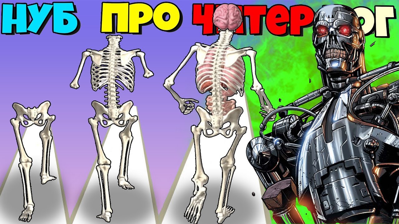 ЭВОЛЮЦИЯ СКЕЛЕНА, МАКСИМАЛЬНЫЙ УРОВЕНЬ Human Run