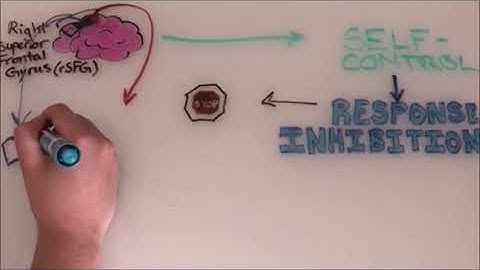 The Role of the Right Superior Frontal Gyrus in Response Inhibition