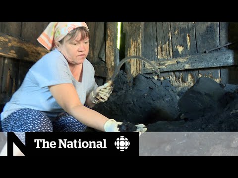 Video: 9 Måste-göra-upplevelser I Toronto - Matador Network