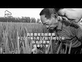 &quot;Father of hybrid rice&quot; Yuan Longping dies at 91