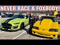 FOXBODY CALLS OUT MY 2020 SHELBY GT500 TO DRAG RACE!*TOO FAST*