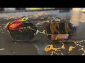 AXN Sports Shades "Wayferre" Unboxing | THE UNBOXING LAB