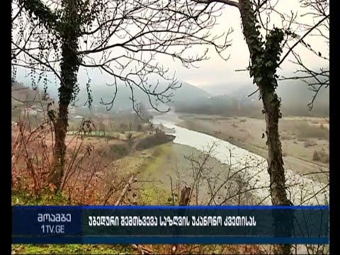 სოფელ მარადიდის ტყეში ნაპოვნ ცხედრებს ექსპერტიზა უტარდება