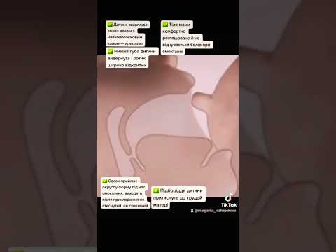 ПРАВИЛЬНЕ ПРИКЛАДАННЯ ДО ГРУДЕЙ