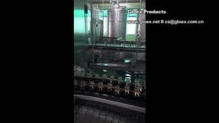 VD243B Automatic Negative Pressure Liquid Filling Machine+Double Line + 60 heads