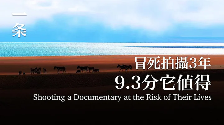 一群中国人冒死拍摄3年9.3分它值得 A Group of Chinese Spend 3Years Shooting a Documentary at the Risk of Their Lives - 天天要闻