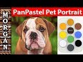 Pet portrait lesson, pastel, PanPastel, Jason Morgan