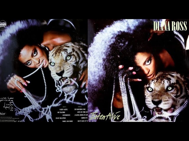 Diana Ross - Experience (1985) [HQ]