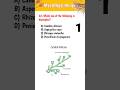 Mycology Rapid Fire 💥||Mycology Quiz for Medical & Lab Technician Students||#mycology #microbiology