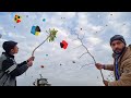 New trick caught kite with trees sticks 2023  catch kite 2023  kite