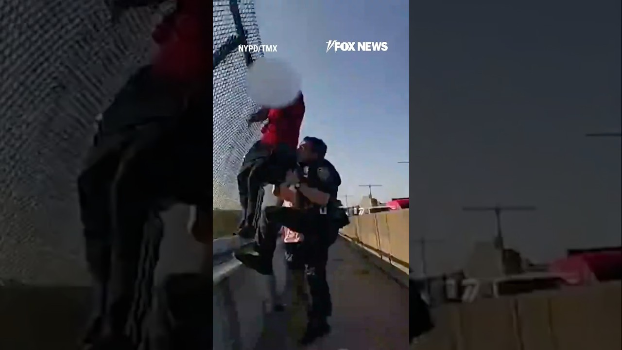 Police stop bridge-jumping attempt in nick of time #shorts #foxnews #news #us #fox #usnews #nypd