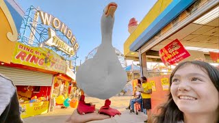 I took my duck to Coney Island