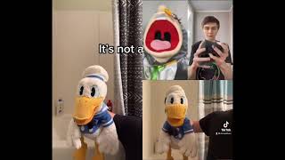 Donaldducc Meets Donald Duck Meets Jeffy