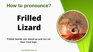 How To Pronounce Frilled Lizard In English Correctly