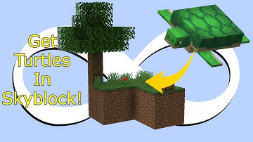 How To Get Turtles In Minecraft Skyblock 1.20.1