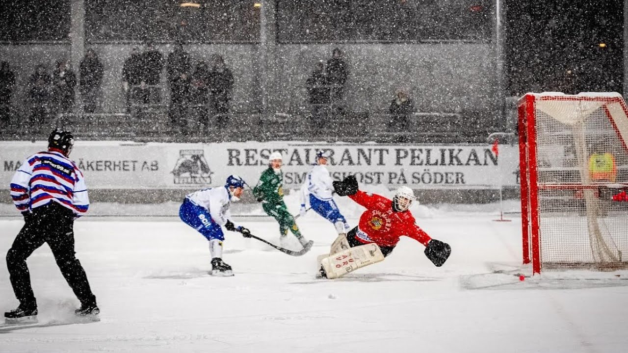 Hammarby IF - Villa Lidköping BK  Elitserien 2025/2026
