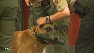 Travis County deputies retire K9 Steele