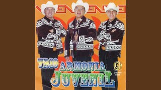 Miniatura de vídeo de "Trio Armonia Juvenil - El Canaveral"