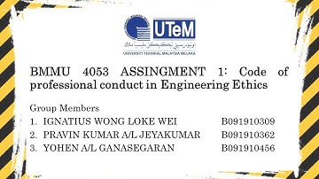 Assignment 1: Code of professional conduct in Engineering Ethics (interviews)