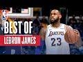 Best of LeBron James So Far This Season