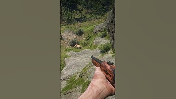 p77 Simulate great survival skills , #shorts