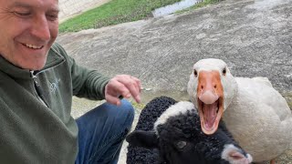 Teško je biti Mama tek sad vidim  !!😱