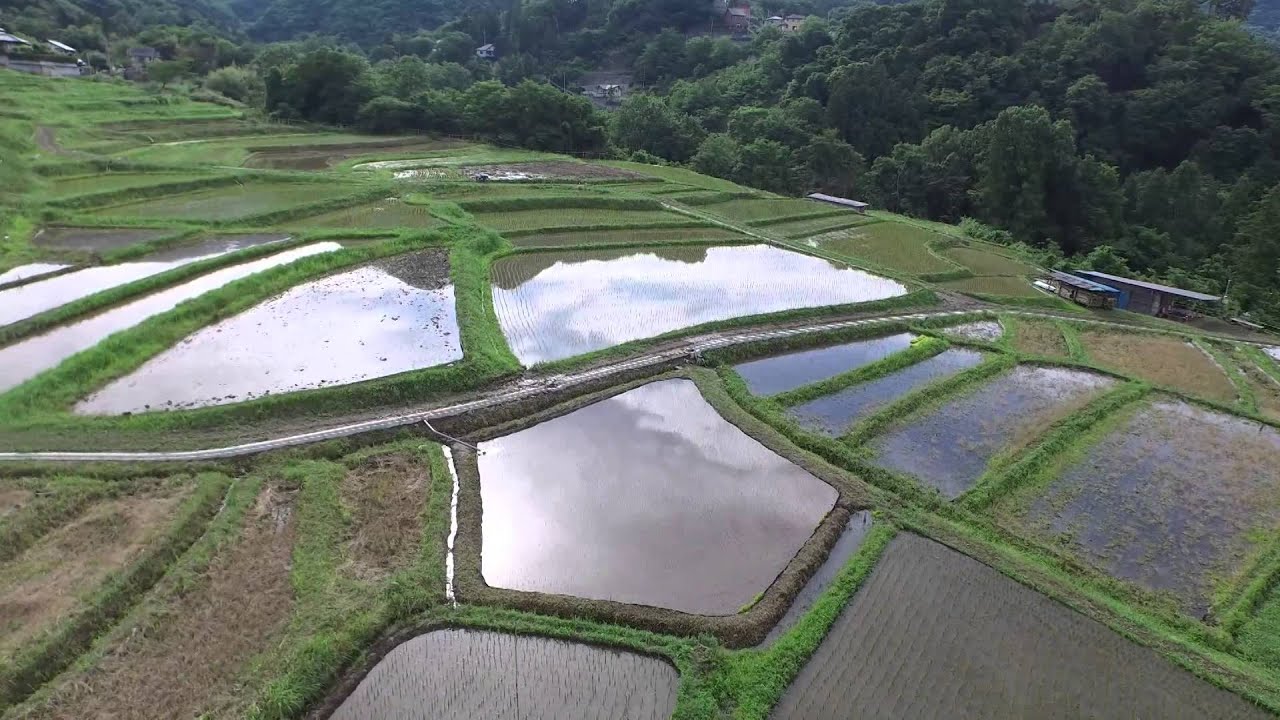 ドローン 空撮 寺坂棚田 埼玉県横瀬町 Youtube ドローン 空撮 寺坂棚田 埼玉県横瀬町 Youtube