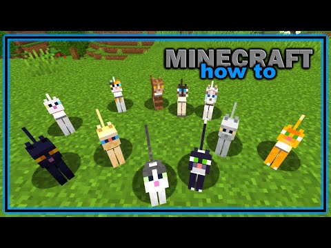 Video: Kun jij een ongetemde kat aanlijnen in minecraft?