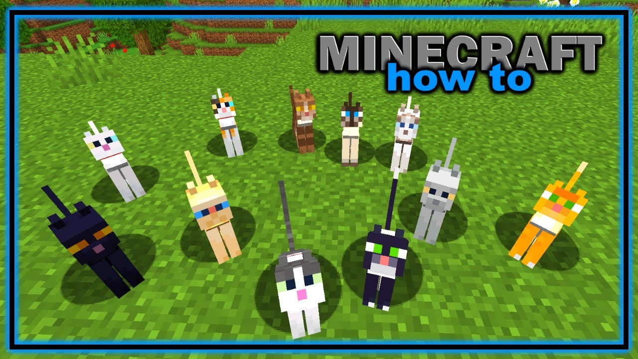 Everything You Need to Know About Cats in Minecraft! | Easy Minecraft ...