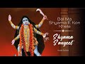Bol Maa Shyama | Shyama Sangeet | Kali Puja Special | Bengali Devotional Song | Hiralal Sarkhel