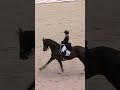 What dressage feels like 🔥 #dressage #isabellwerth #equestrian