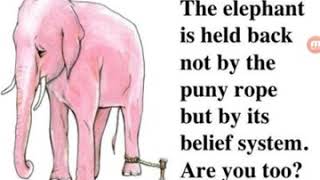 Elephant rope motivational story in tamil