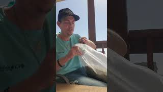 THCA Pounds So Cheap They Ship UPS Overnight with Full Insurance (Nov 2025)