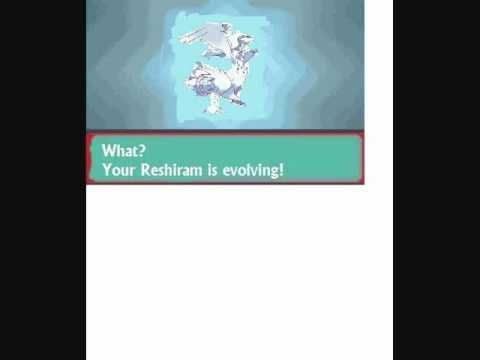 Reshiram Evolution Chart