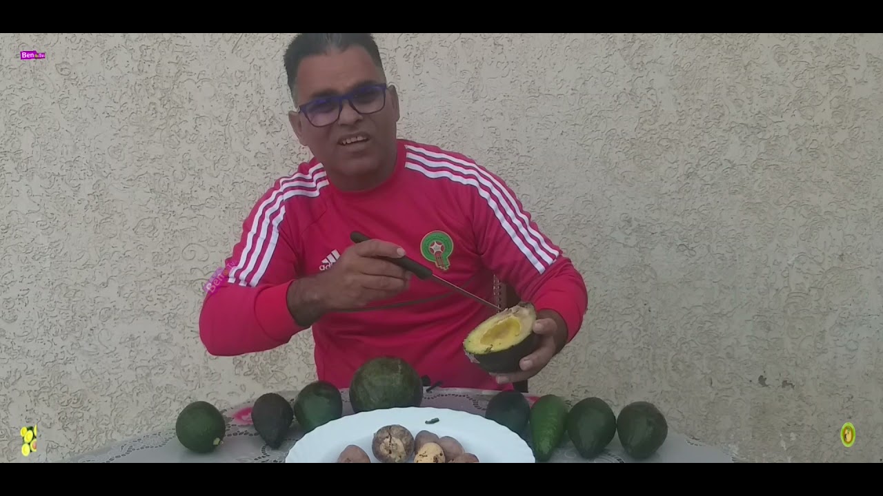 أفضل أنواع الأفوكادو في العالم ابحث عنها في المغرب🇲🇦 مع الخبير بن عمارة🥑