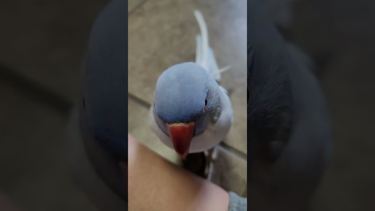 Babies need kisses too